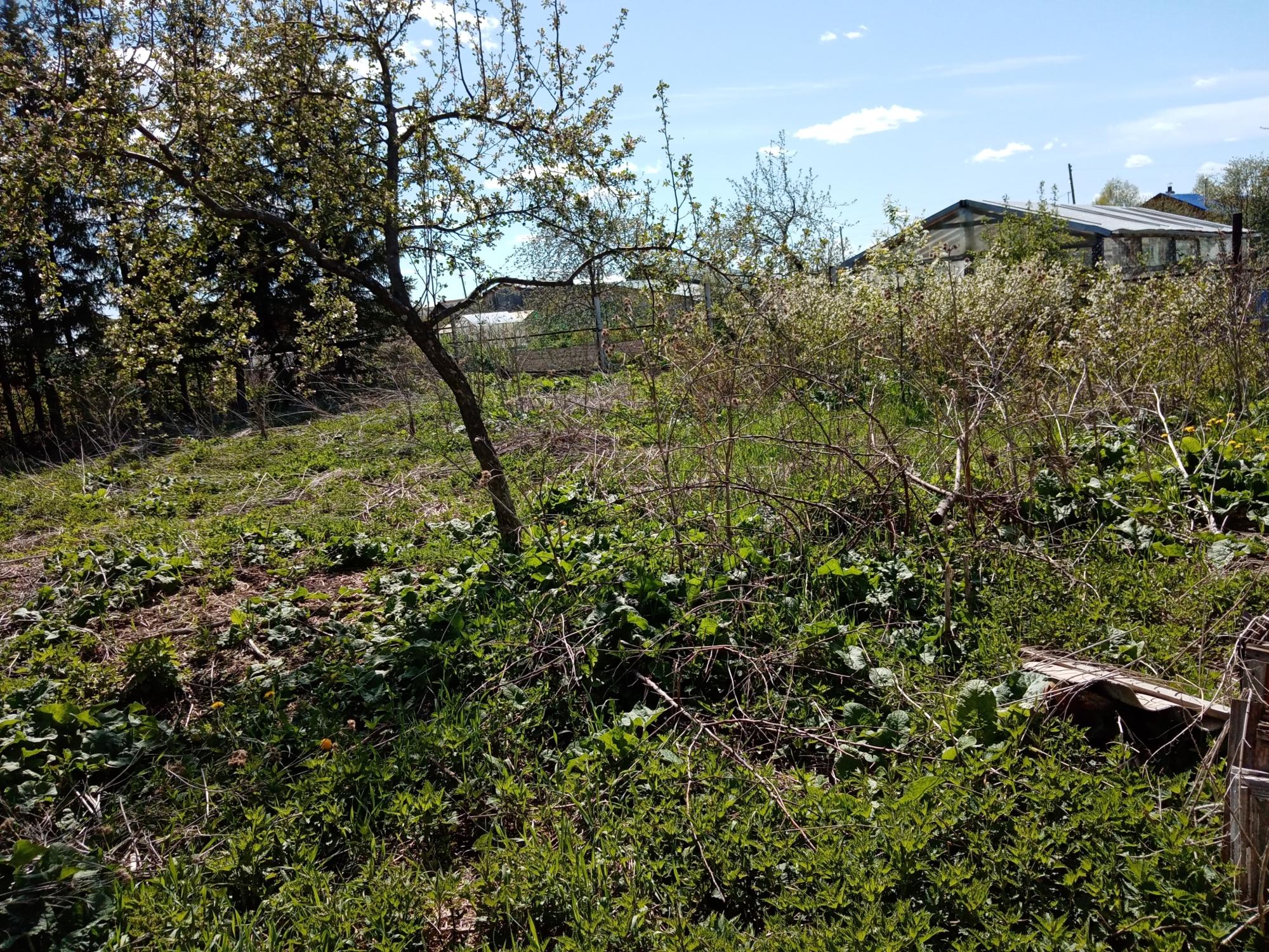 Купить дом или коттедж, Горнозаводской управленческий округ, городской  окруВерхний Тагил, Верхний Тагил, улица Розы Люксембург, 13, 30.0 м2,  250000р - объявление №3549934 на Nedvy.ru